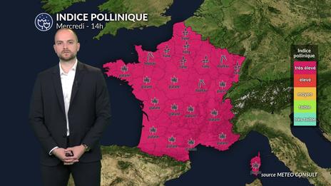 Pollens et allergies : la chaleur remarquable fait grimper le risque allergique à un niveau très élevé