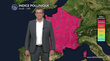Pollens et allergies : encore des risques allergiques très élevés ce jeudi avant l'amélioration