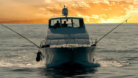 Pêche à la dorade : techniques, appâts, postes et conseils pour mieux comprendre ce poisson méfiant