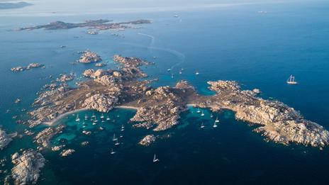 Îles Lavezzi : 4 zones interdites à la navigation et au mouillage pour protéger les oiseaux marins