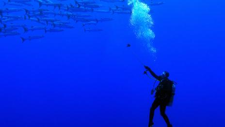 Plongée thérapeutique : quand le monde sous-marin devient un outil de reconstruction