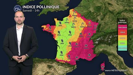 Pollens et allergies : le passage d’un front froid ne suffit pas à faire baisser un risque allergique encore élevé
