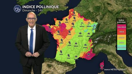 Pollens : chute des concentrations à l’est sous la pluie, vigilance maintenue à l’ouest malgré un net rafraîchissement