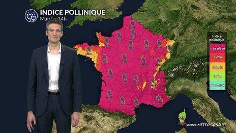 Pollens et allergies : un indice pollinique très élevé sur de nombreuses régions ce mardi avec le retour du soleil