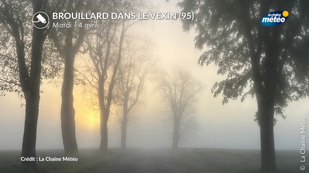 Brouillard dans le Vexin (95) ce mardi 14 avril Actualités France