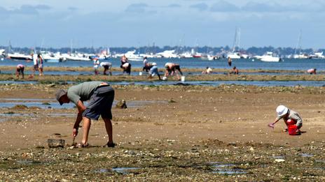 Pêche à pied en France : peut-on la pratiquer aussi bien en Atlantique qu’en Méditerranée ?