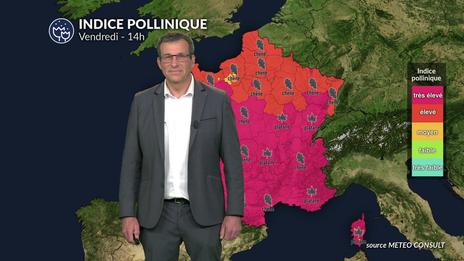 Pollens et allergies : un risque pollinique très élevé en lien avec la météo douce et ensoleillée