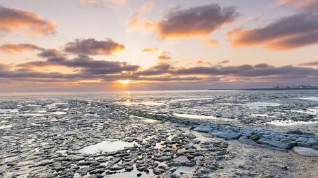 Mer des Wadden : la grande navigation du printemps entre sable, marées et îles du Nord