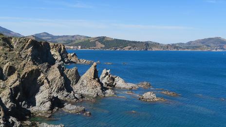Réserve marine de Cerbère Banyuls : un projet d’extension qui change d’échelle