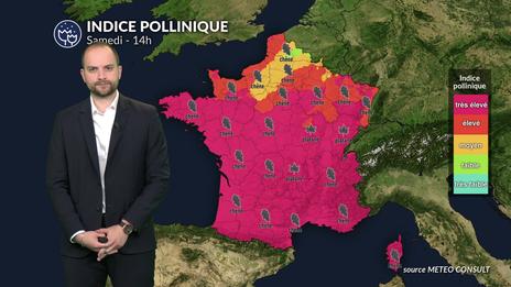Pollens et allergies : vigilance maximale demain avec un risque allergique au plus haut