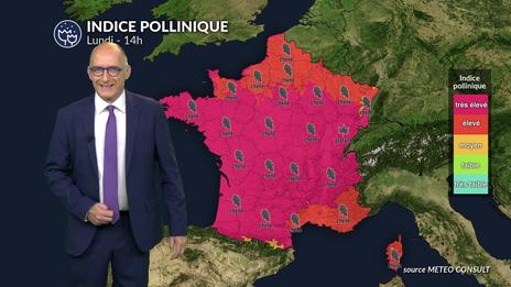 Pollens et allergies  : un lundi contrasté entre fraîcheur au nord et risque allergique marqué au sud