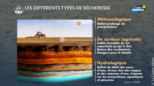 Prévisions Saisonnières