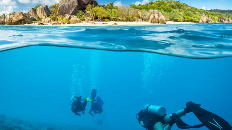 Plongée aux Seychelles : un sanctuaire sous-marin parmi les plus spectaculaires de l’océan Indien