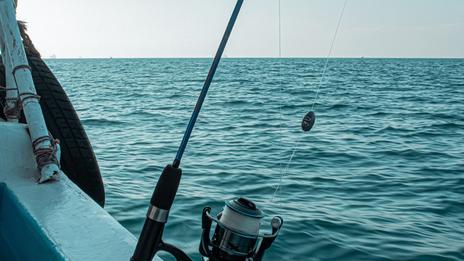 Pêche en mer en mai : les espèces à privilégier pour profiter pleinement du retour des beaux jours