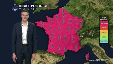 Pollens et allergies ce vendredi : un indice pollinique maximal sur l'ensemble du territoire