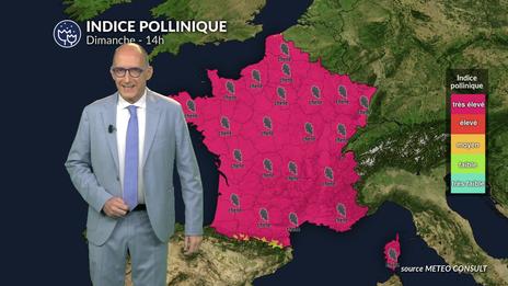 Pollens et allergies : chaleur et temps sec favorisent une hausse du risque dimanche