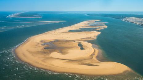 Au large de la dune du Pilat, un "joyau" de biodiversité en péril