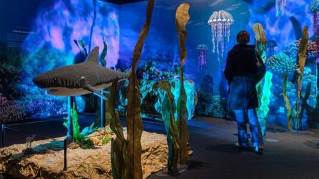 De la baie de Somme aux océans de Jules Verne : un voyage maritime spectaculaire en briques LEGO