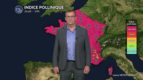 Pollens et allergies : fortes concentrations polliniques sauf au sud-ouest avec le retour des orages