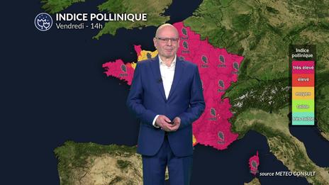 Pollens et allergies : nouveau pic sur la France ce vendredi