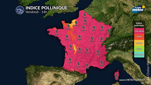 Pic pollinique pour ce vendredi Pollens Et Allergies