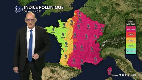 Pollens et allergies : amélioration samedi dans l'ouest grâce aux pluies et aux orages