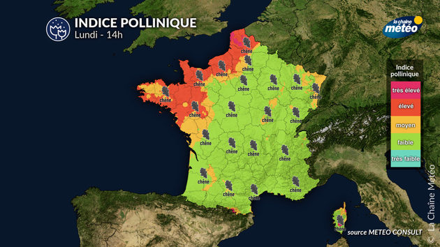 Indice pollinique lundi Pollens Et Allergies