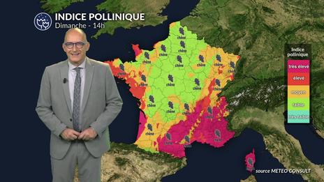 Pollens et allergies : les pluies freinent le risque, sauf dans l’est et le sud-est dimanche
