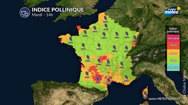 Pollens Et Allergies