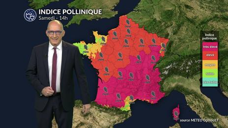 Pollens et allergies : un samedi estival avant le retour des orages, attention au chêne et aux premières graminées