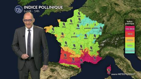 Pollens et allergies : accalmie au nord sous la pluie, vigilance maintenue près de la Méditerranée et dans le sud-ouest ce lundi 11 mai