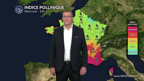 Pollens et allergies : amélioration au nord mais des indices encore très élevés dans le sud-est