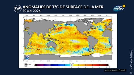 Vers le retour d’El Niño : ce que les scientifiques surveillent de près