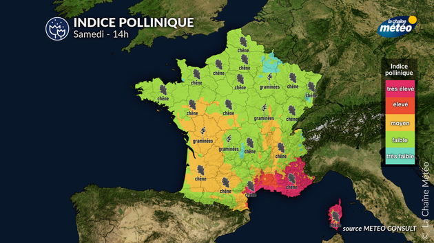 Pollens Et Allergies