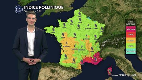 Pollens et allergies ce samedi : risque maximal dans le sud-est sous l’effet du vent, répit relatif au nord grâce aux averses