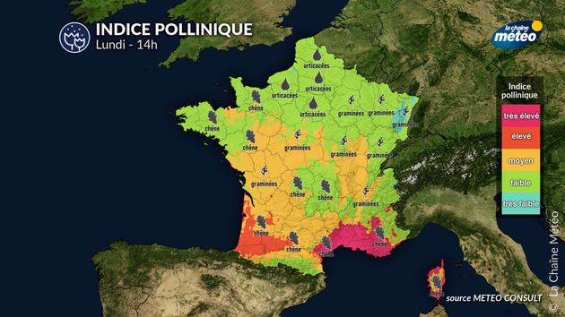 Pollens Et Allergies