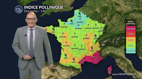 Pollens et allergies dimanche : la pluie limite le risque à l’ouest, vigilance près de la Méditerranée