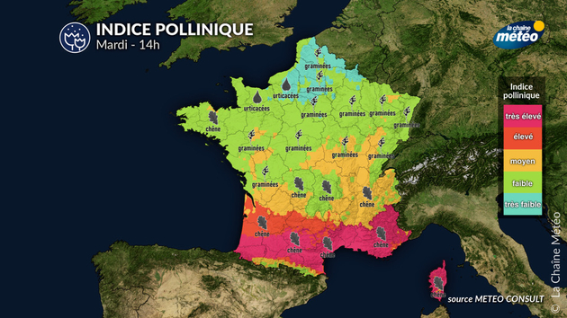 Pollens Et Allergies