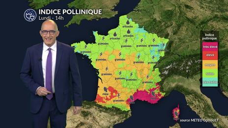 Pollens et allergies : un lundi frais et humide qui limite globalement les pollens, sauf près de la Méditerranée.