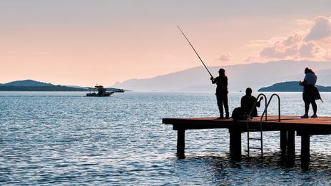 Pêcher depuis une digue : pourquoi ces spots attirent autant de poissons ?