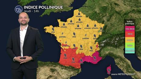 Chaleur exceptionnelle et pic de chêne : alerte rouge aux pollens dans le Sud