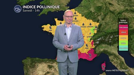 Pollens et allergies : alerte rouge pollens dans le Sud et l'Ouest : le cyprès et la chaleur font exploser les compteurs