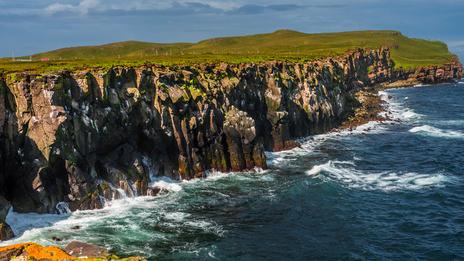 Grímsey en été : macareux, falaises et soleil de minuit au nord de l’Islande