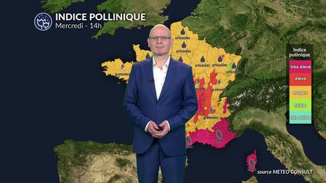 Bulletin pour mercredi : canicule et ozone aggravent le pic allergique sur la France