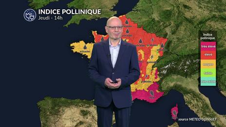 Canicule et pic allergique majeur : graminées et cyprès saturent l'air du sud et de l'ouest