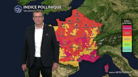Pollens et allergies : la chaleur fait exploser les indicdes polliniques de graminées et cyprès