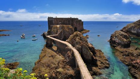 Archipel des Berlengas au printemps : 1 journée dans l’archipel sauvage du Portugal