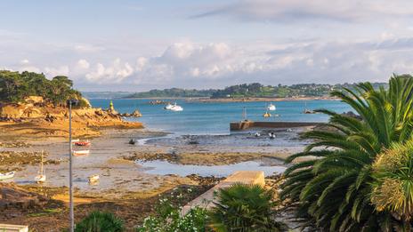 Que faire sur l’île de Bréhat au printemps ? Les incontournables de l’île aux fleurs