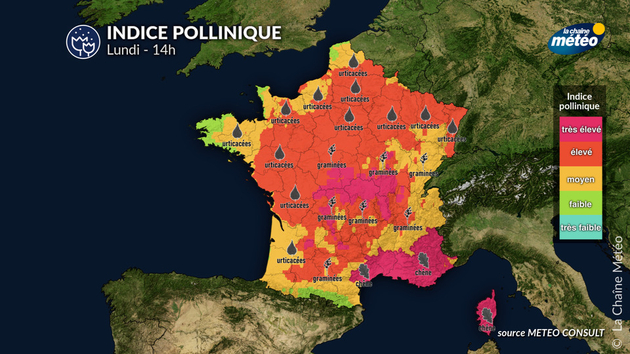 Indice pollinique lundi Pollens Et Allergies