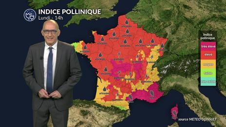 Pollens et allergies : les graminées restent sous surveillance avec le retour d’un temps estival lundi